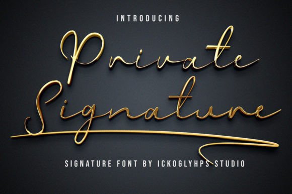 Private Signature: Crafting Authentic Visual Narratives